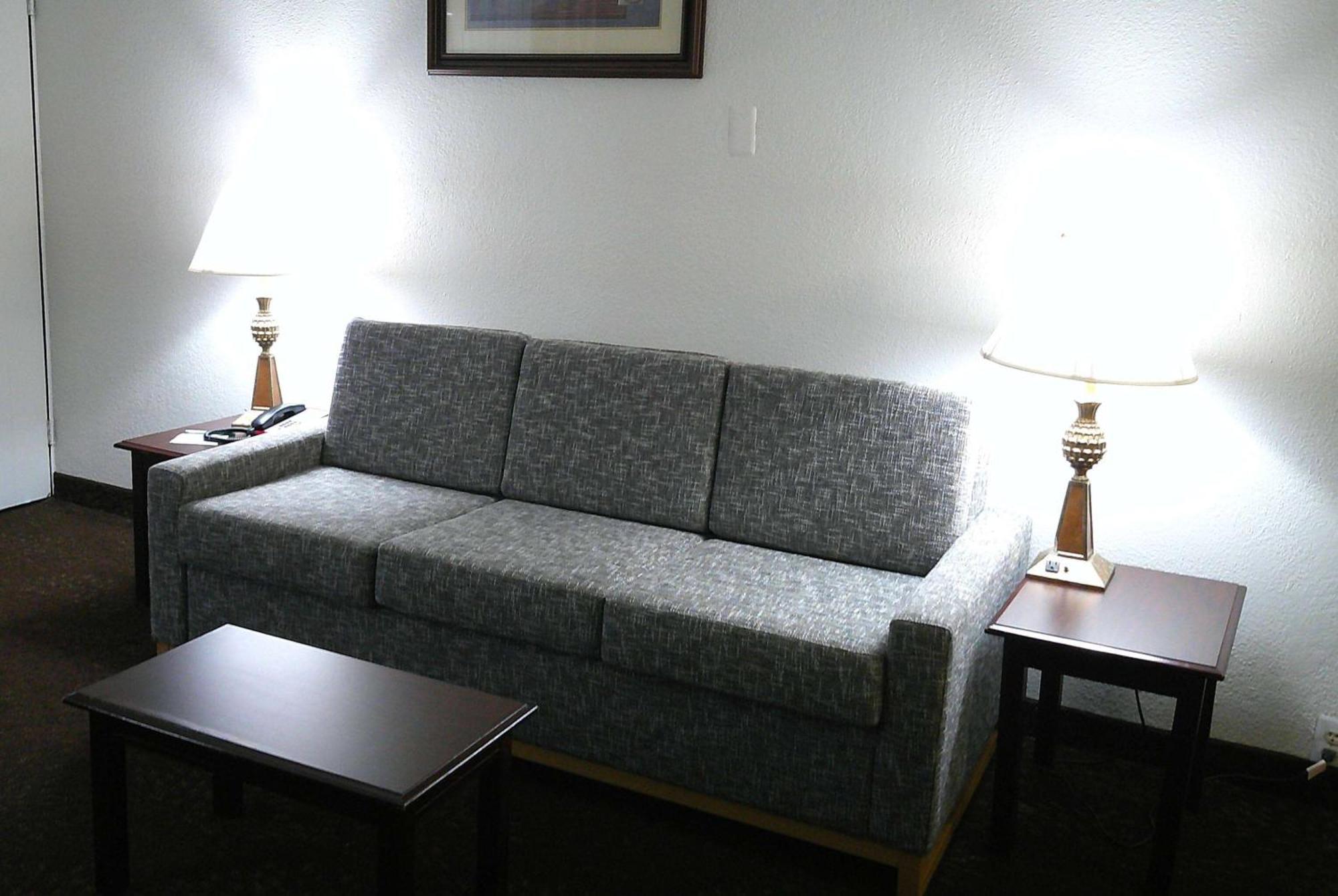 Wyndham Garden Detroit Metro Airport Hotel Romulus
